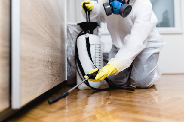 Best Flea Control Services  in Mountainside, NJ