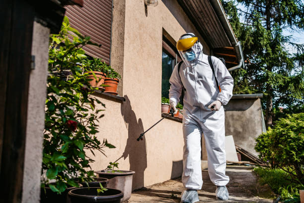 Pest Prevention Services in Mountainside, NJ