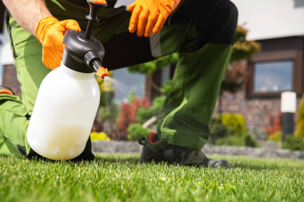 Best Termite Control Services  in Mountainside, NJ