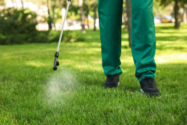 Best Cockroach Control Services  in Mountainside, NJ