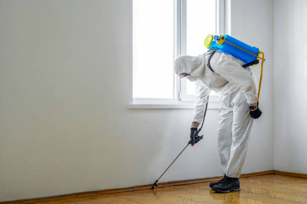 Best Wildlife Control Services  in Mountainside, NJ
