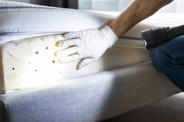 Best Pest Inspection Near Me  in Mountainside, NJ
