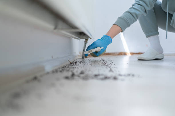 Best Mosquito Control Services  in Mountainside, NJ