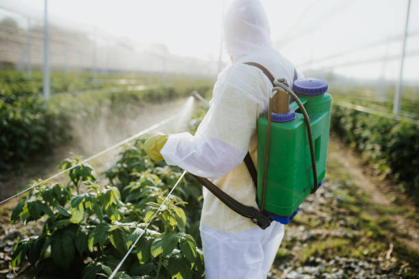 Best Exterminator Services  in Mountainside, NJ